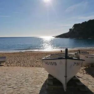 hotel-tamariu.catalonia-hotels.com/